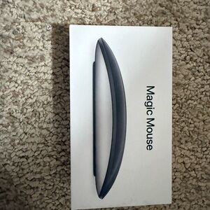 Apple Wireless Mouse in Silver and Black